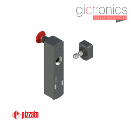 Pizzato NS G4CE1SB2-F41LP40