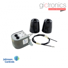 Johnson Controls F59A 1