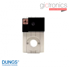 Dungs Nr. 300