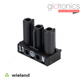 Wieland GST18I3L B1V SW